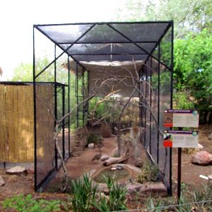 Africa Trail - Savanna Aviaries