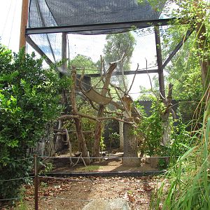 Tropics Trail - Howler Exhibit