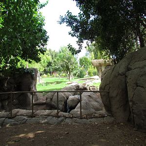 Tropics Trail - Forest of Uco