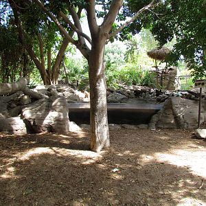 Tropics Trail - Forest of Uco