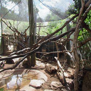 Tropics Trail - Forest of Uco