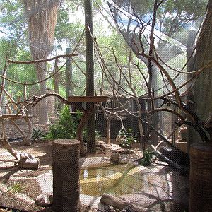 Tropics Trail - Forest of Uco