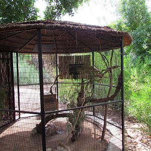 Tropics Trail - Forest of Uco