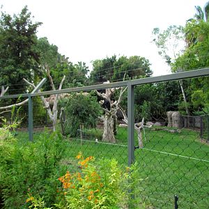 Tropics Trail - Forest of Uco