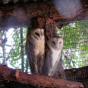 Tropics Trail - Forest of Uco