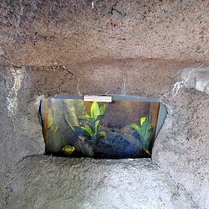 Tropics Trail - Forest of Uco