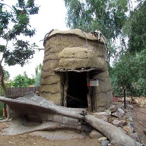 Tropics Trail - Forest of Uco