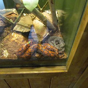 Tropics Trail - Forest of Uco