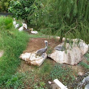 Tropics Trail - Wetlands