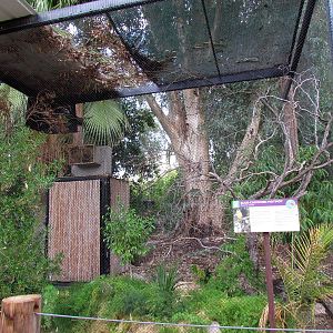 Tropics Trail - Gilbert Aviaries