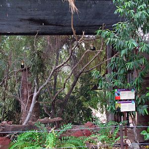 Tropics Trail - Gilbert Aviaries