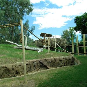 Tropics Trail - Orang Hutan