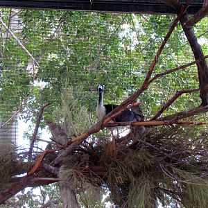 Tropics Trail - Tropical Flights