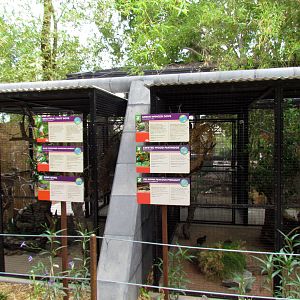 Tropics Trail - Tropical Flights (new aviaries)