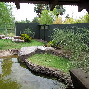 Tropics Trail - Land of the Dragons