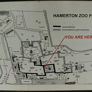 Map at Hamerton Zoo, 23/08/14