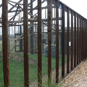 Tayra Enclosure at Hamerton Zoo, 23/08/14