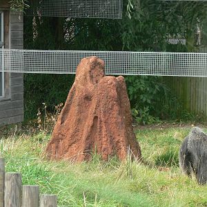 General View at Hamerton Zoo, 23/08/14
