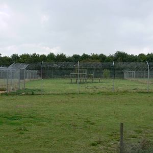 Cheetah Enclosure at Hamerton Zoo, 23/08/14