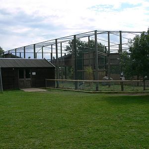 General View at Hamerton Zoo, 23/08/14