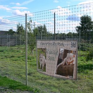 Construction at Hamerton Zoo, 23/08/14