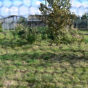Construction at Hamerton Zoo, 23/08/14