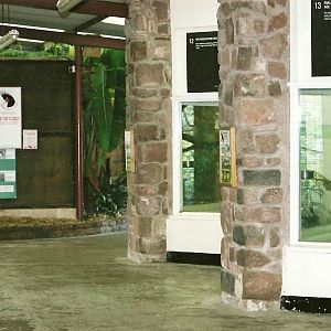 Parrot House memories, 24th October 2004