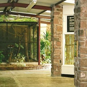 Parrot House memories, 24th October 2004