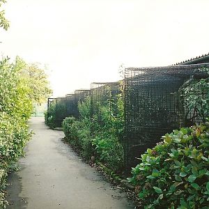 Parrot House memories, 25th October 2004