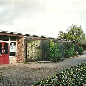 Parrot House memories, 25th October 2004