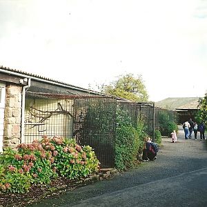 Parrot House memories, 25th October 2004