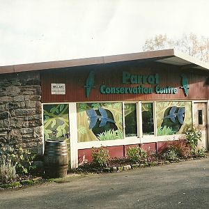 Parrot House memories, 25th October 2004