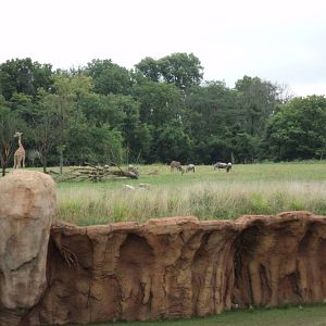 Heart of Africa- Looking Across Watering Hole