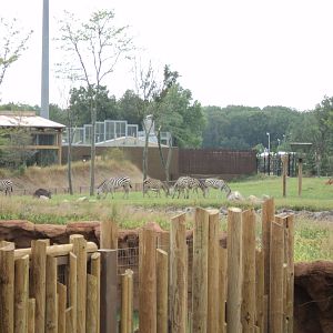 Heart of Africa- From Giraffe Platform Across to Restaurant