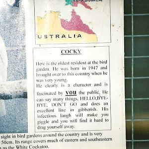 Signage, 5th September 2006