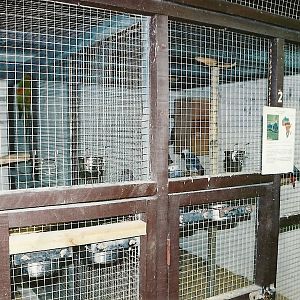 Indoor aviaries, 5th September 2006