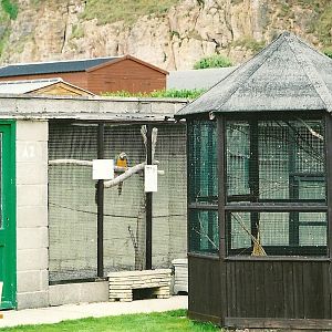 Contrasting aviaries, 5th September 2006