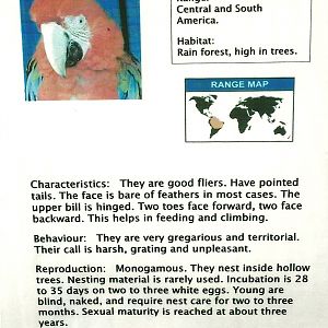 Signage, 13th September 2013