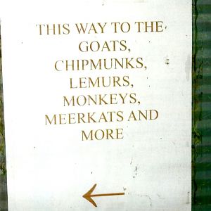 Signage, 13th September 2013