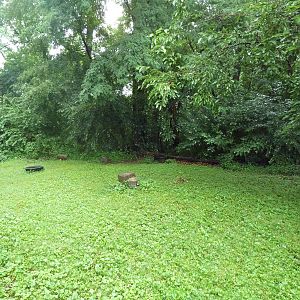 Bald Eagle Yard (currently empty)