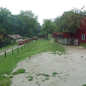 Bactrian Camel Exhibit + Zoo Train