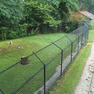 Cheetah Exhibit + Zoo Train Tracks