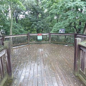 Cheetah Exhibit - Viewing Deck