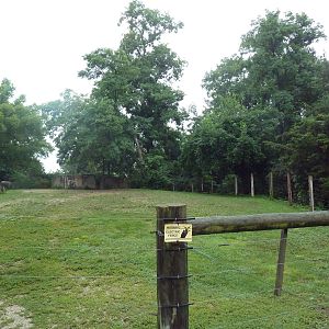 Grant's Zebra Exhibit