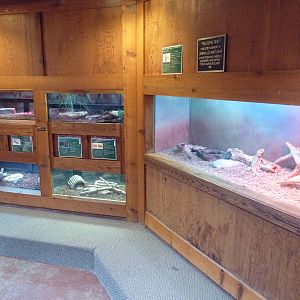 Reptile House - Assorted Terrariums