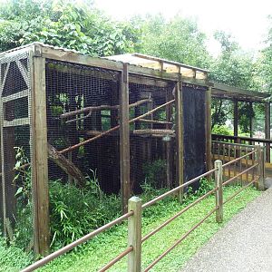 Two-Toed Sloth + Capybara Exhibits