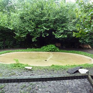 Capybara Exhibit