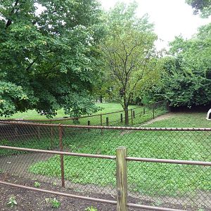 Red-Necked Wallaby Exhibit