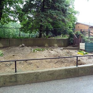 Black-Tailed Prairie Dog Exhibit