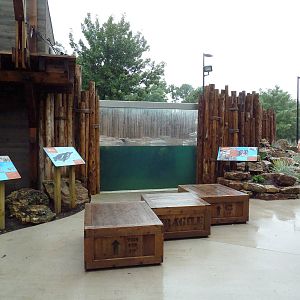 Humboldt Penguin Exhibit (New in 2013)